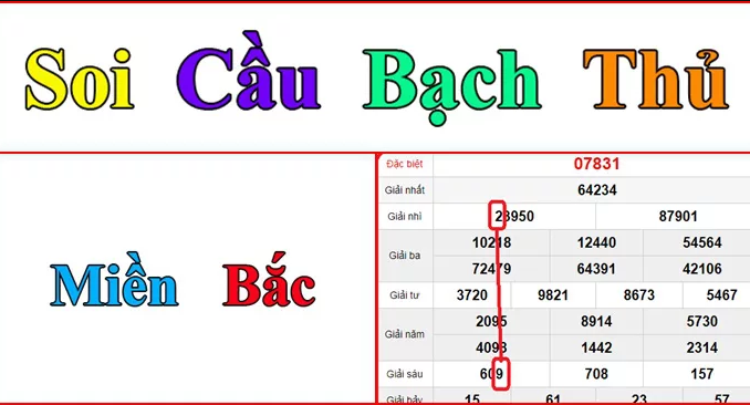 bạch thủ lô hôm nay cực chuẩn